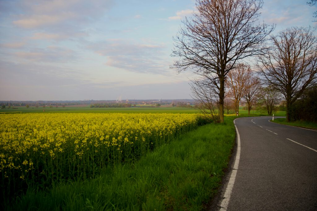 Eine Haushaltsauflösung kann der geeignete Weg sein